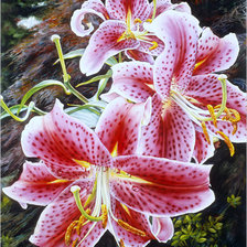 Схема вышивки «лилии»