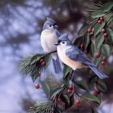 Схема вышивки «птички»