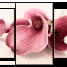 Схема вышивки «цветы2»