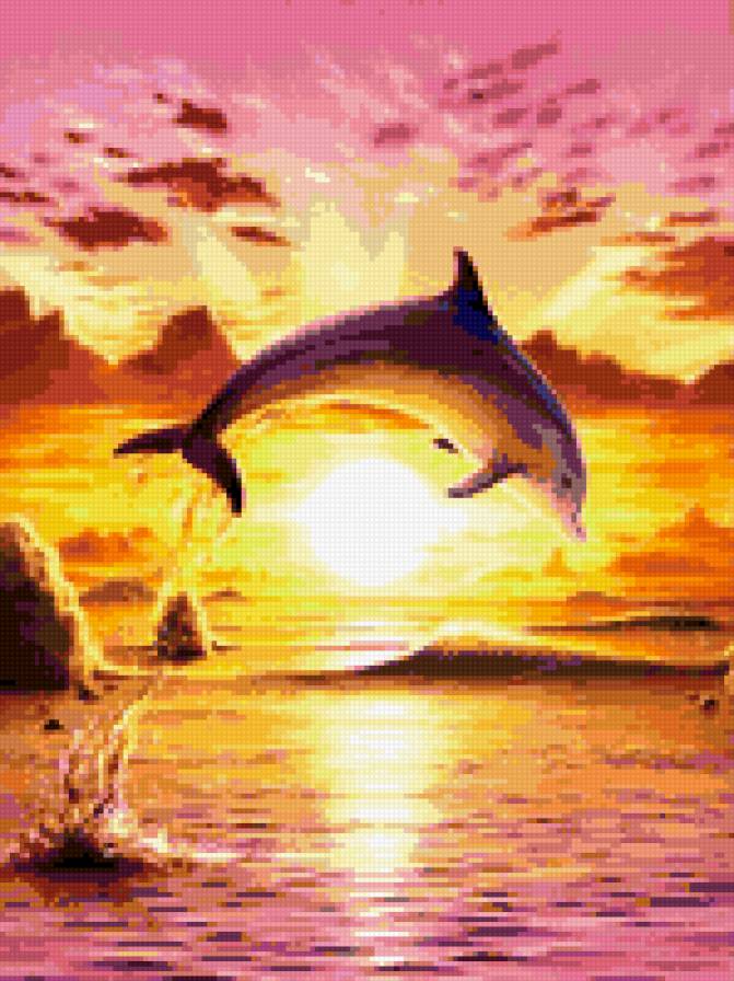 Дельфин - предпросмотр