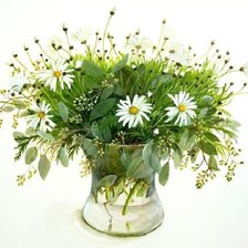 Схема вышивки «Полевые ромашки.»