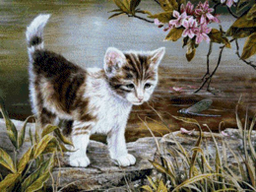 котенок - кошки - предпросмотр