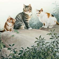 Схема вышивки «кошки»