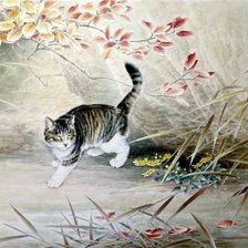 Схема вышивки «котик»