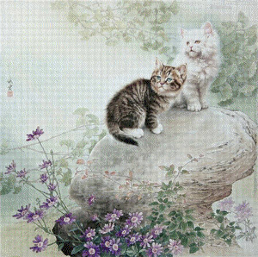 котята - кошки - предпросмотр