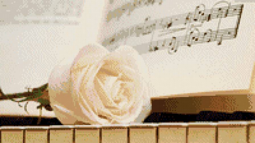 белая роза - ноты, пианино, роза, натюрморт - предпросмотр