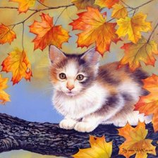 осенний котик