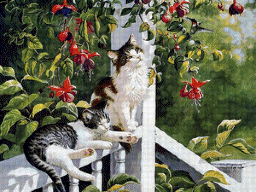 кошечки - кошки - предпросмотр