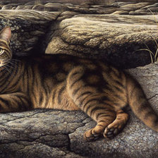 Схема вышивки «кот»