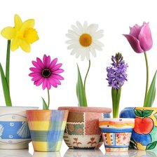 Схема вышивки «Цветы»