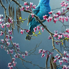 Схема вышивки «птичка певчая»