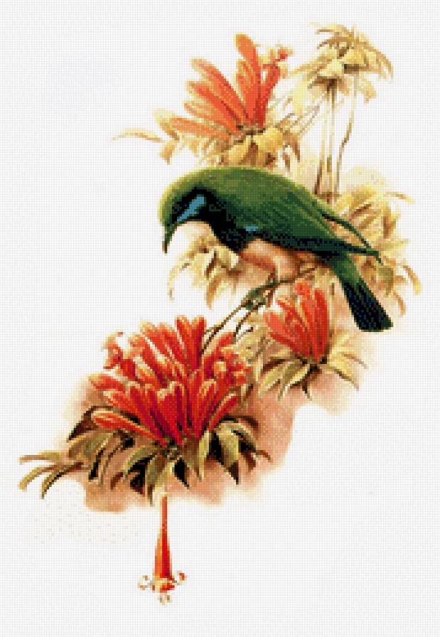 птичка - птицы - предпросмотр