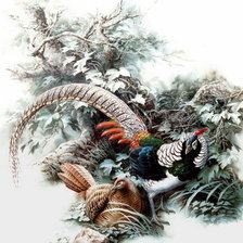 Схема вышивки «фазаны»