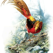 Схема вышивки «птичка»