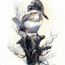 Схема вышивки «птичка»