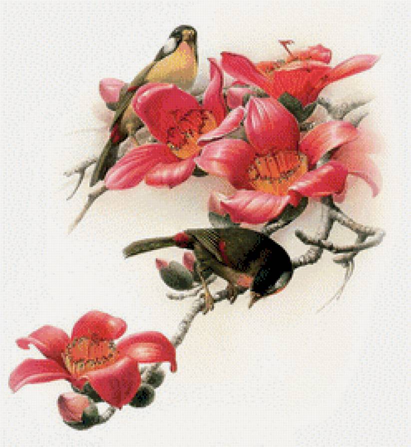 птички - птицы - предпросмотр