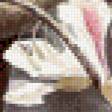 Предпросмотр схемы вышивки «птичка» (№614902)