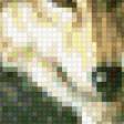 Предпросмотр схемы вышивки «волк» (№614973)