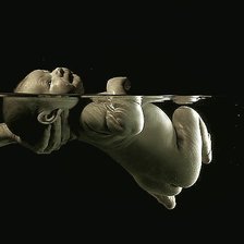 Схема вышивки «Первое плавание»