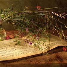 Схема вышивки «polne kwiaty»