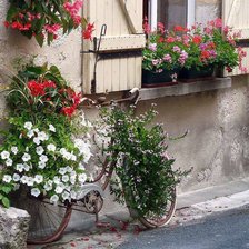 Схема вышивки «№615086»