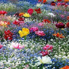 Схема вышивки «№615094»