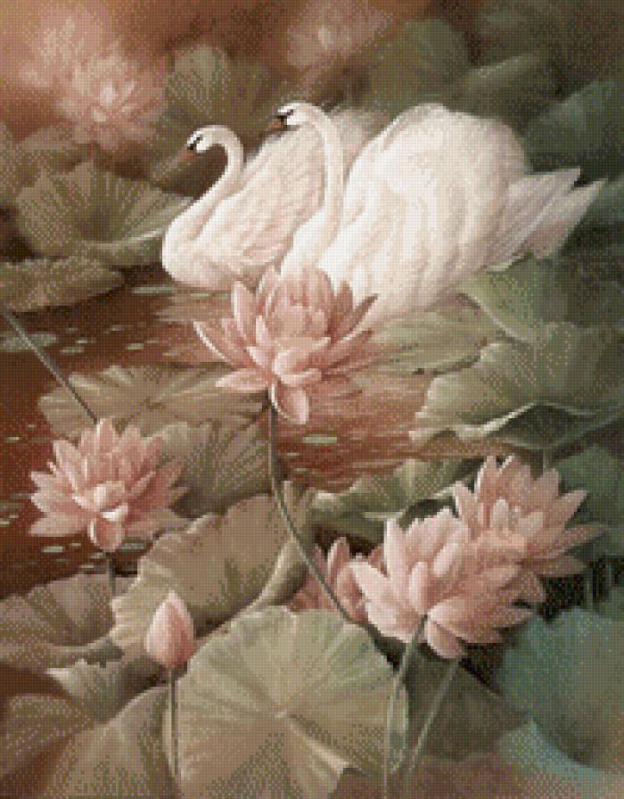 Лебеди - птицы, лебеди - предпросмотр