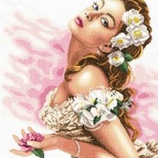 прекрасные дамы Джона Клейтона 6