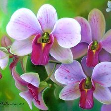 Схема вышивки «Орхидеи»