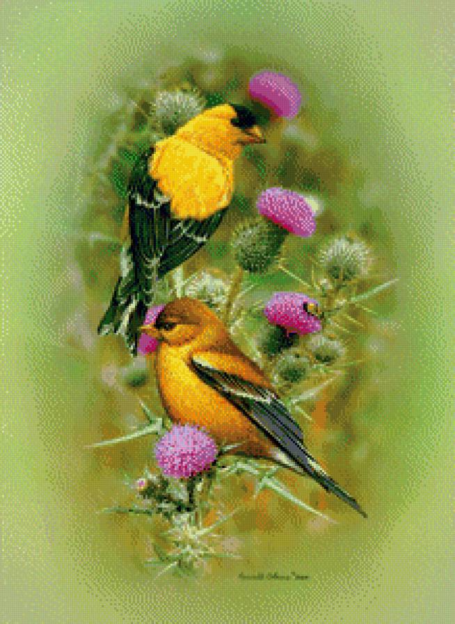 птицы и цветы - птицы, цветы - предпросмотр