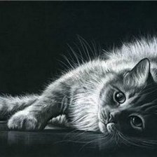 Схема вышивки «серия "Кошки" 7»