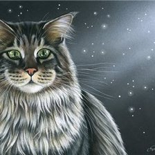 Схема вышивки «серия "Кошки" 8»