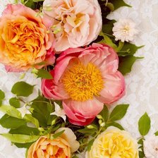 Схема вышивки «Шиповник»