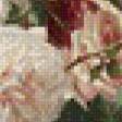 Предпросмотр схемы вышивки «Розы» (№615586)