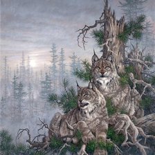 Схема вышивки «Рыси»