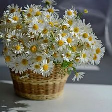 Схема вышивки «букет ромашек»