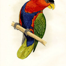 Схема вышивки «Из цикла птички.»