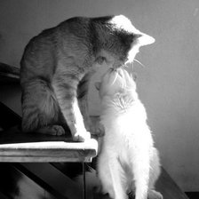 Схема вышивки «№615813»