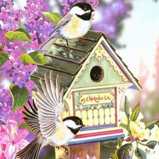 Схема вышивки «птички»