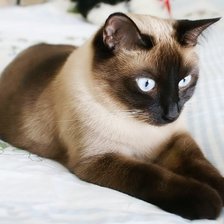 Схема вышивки «Задумался»