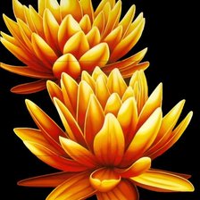 Схема вышивки «№615992»