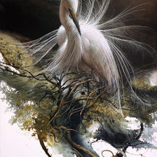 Схема вышивки «птица»