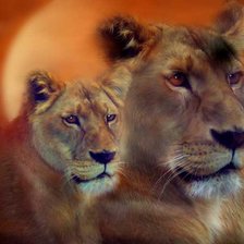 Схема вышивки «Королевы саванны»