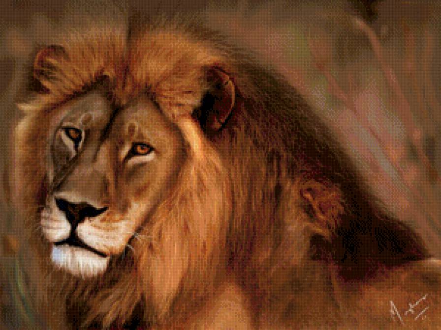 Царь зверей - хищник, животные, большие кошки, лев - предпросмотр