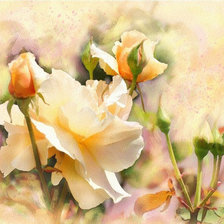 Схема вышивки «акварельная роза»