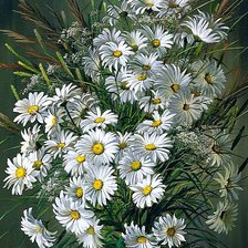 Схема вышивки «Ромашки»