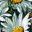 Предпросмотр схемы вышивки «Ромашки» (№616217)