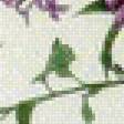 Предпросмотр схемы вышивки «серия "сирень"» (№616231)