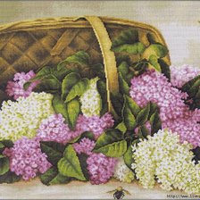 Схема вышивки «серия "сирень"»