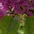 Предпросмотр схемы вышивки «серия "сирень"» (№616240)